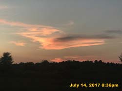 IMG_3514