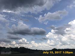 IMG_3528