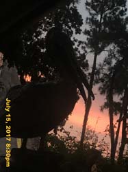 IMG_3562