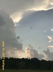 IMG_3681