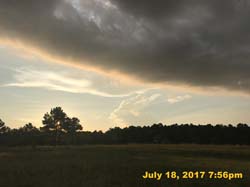 IMG_3778