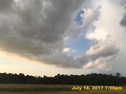 IMG_3779