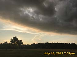 IMG_3781