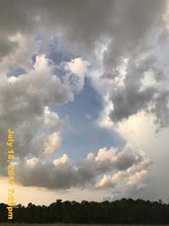 IMG_3785