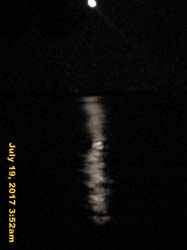 IMG_3810