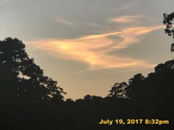 IMG_3869