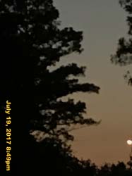 IMG_3871