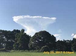 IMG_3895