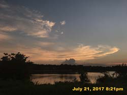 IMG_3931