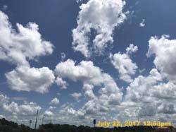 IMG_3956