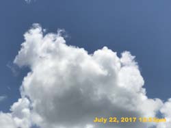 IMG_3959