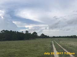 IMG_3992