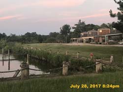 IMG_4336
