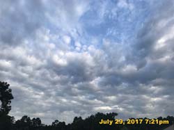 IMG_4371