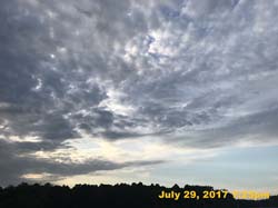 IMG_4373