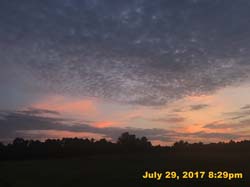 IMG_4379