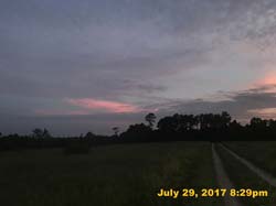 IMG_4380