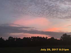 IMG_4382