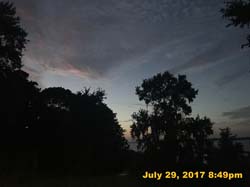 IMG_4390