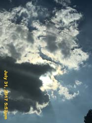 IMG_4458