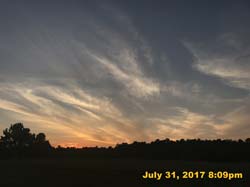 IMG_4461