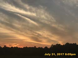 IMG_4462