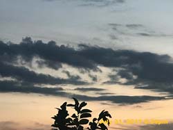 IMG_4481