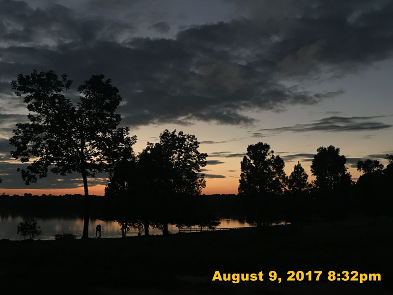 IMG_4941