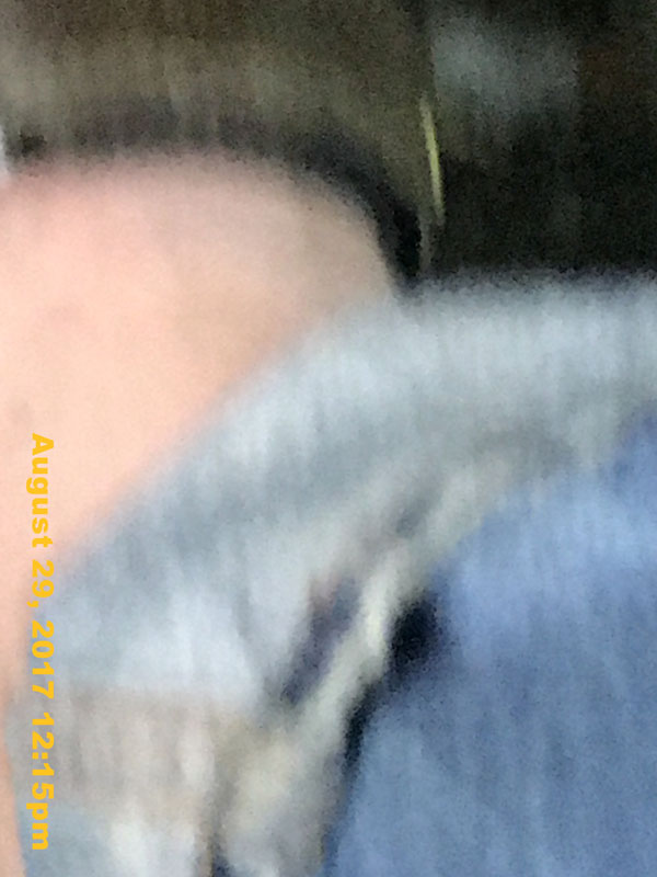 IMG_5804