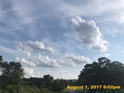 IMG_4503
