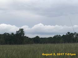 IMG_4540