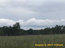 IMG_4541