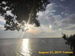 IMG_5923