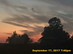 IMG_6701