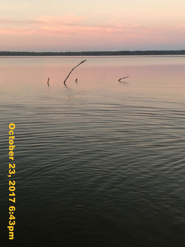 IMG_8354