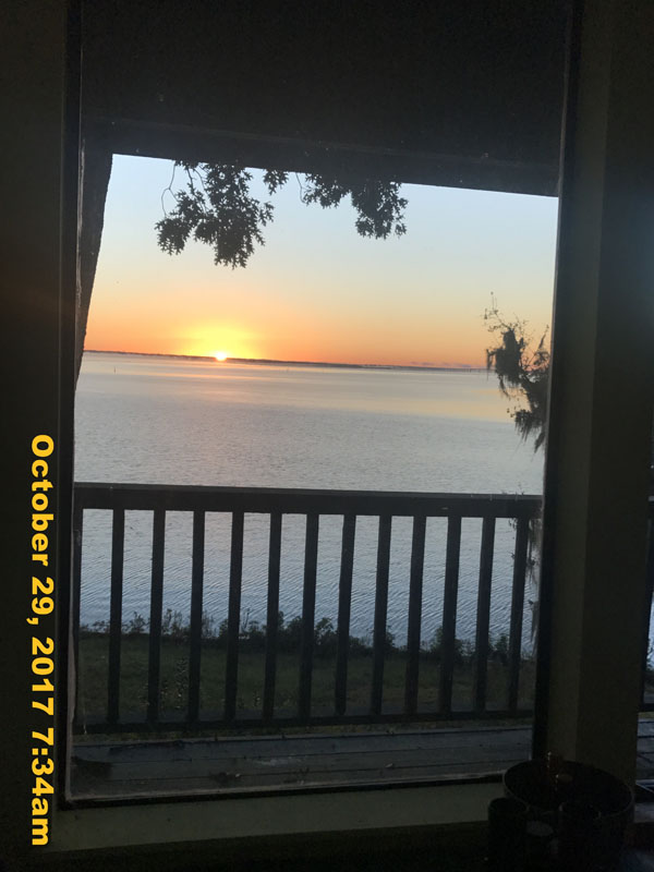 IMG_8646