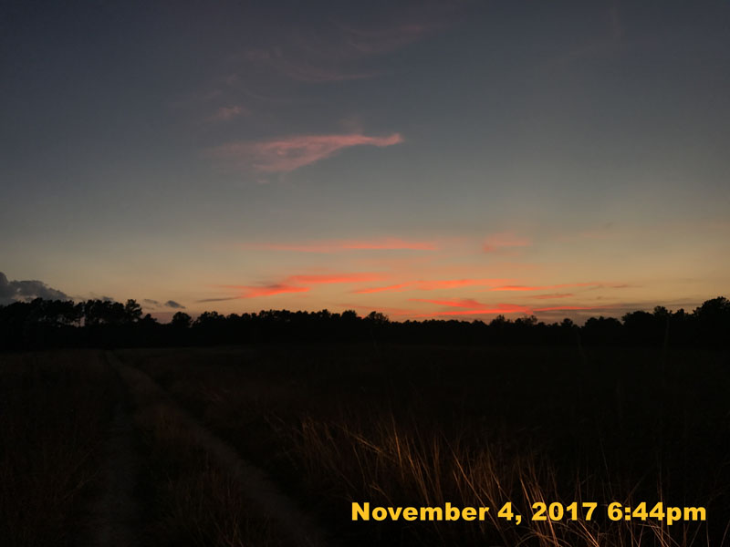 IMG_8906