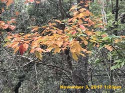 IMG_8805