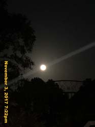 IMG_8873