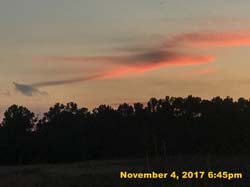 IMG_8911