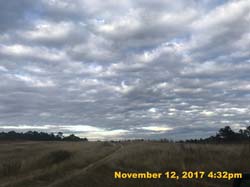 IMG_9198