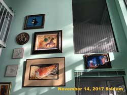 IMG_9322