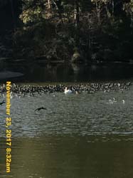 IMG_9875