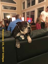 IMG_9915