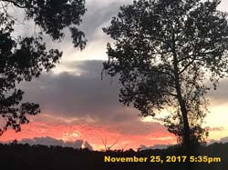 IMG_0035