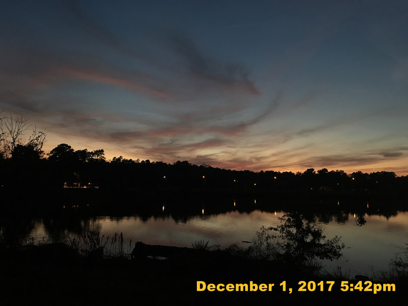 IMG_0264