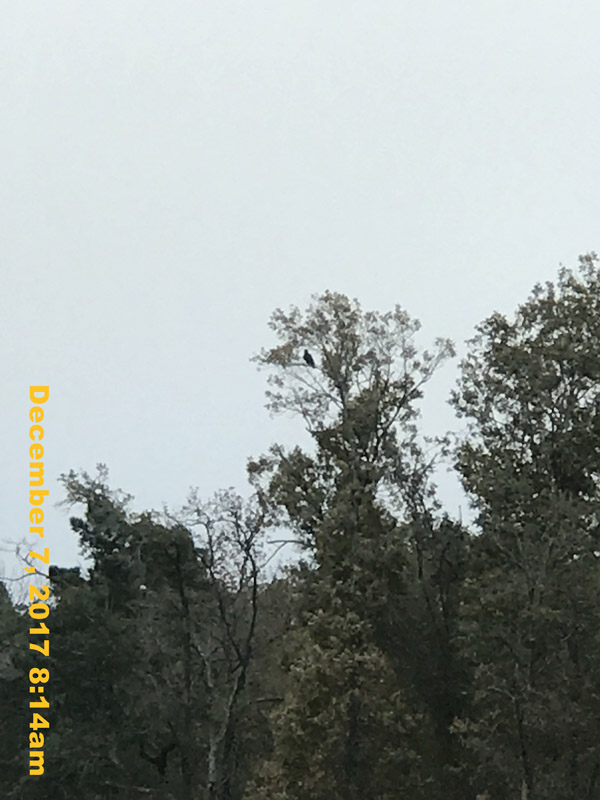 IMG_0407