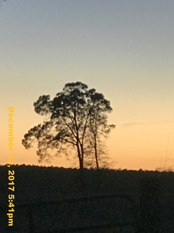 IMG_0629