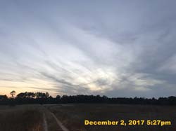 IMG_0317