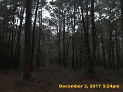 IMG_0347